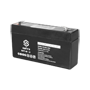 BATT-6012
