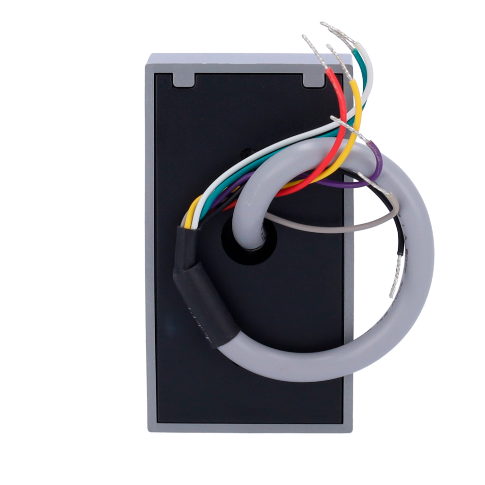 ZK-PROID10-B-WG-1