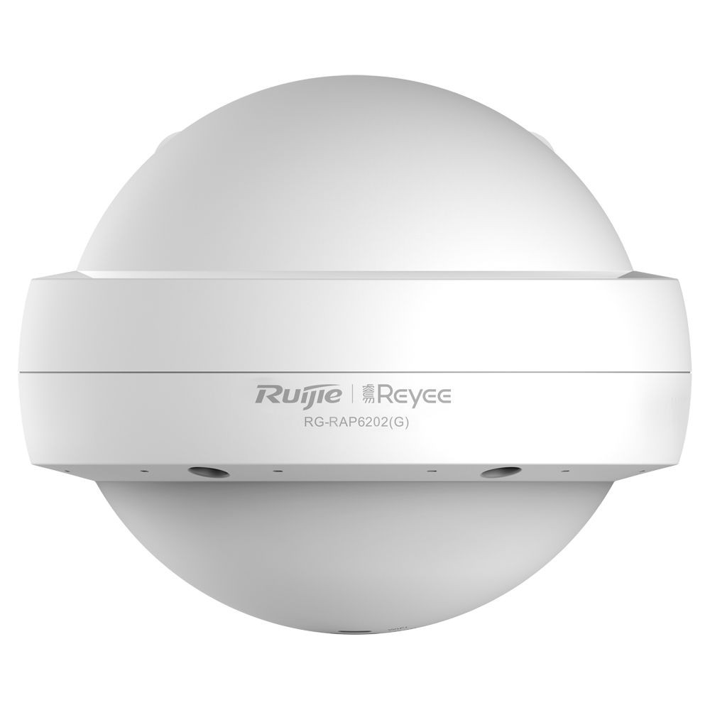 RG-RAP6202(G)