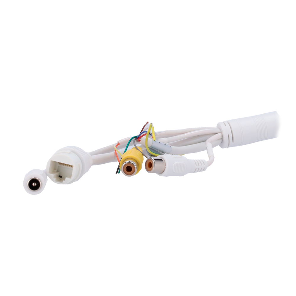XS-IPTT256A-2D4-WIZ