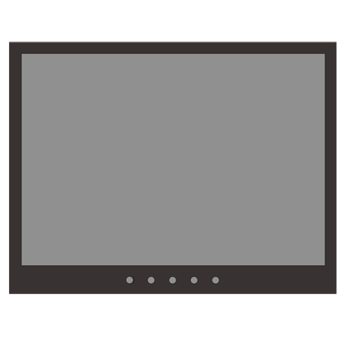 SF-MNT10BNC-XGA